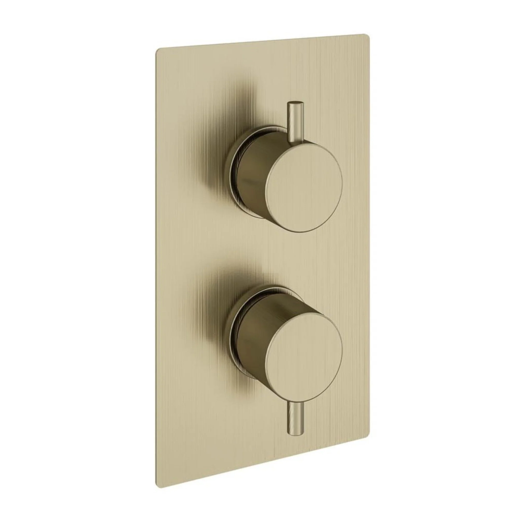 Naples contemporary round concealed thermostatic twin shower valve with 1 outlet - brushed brass