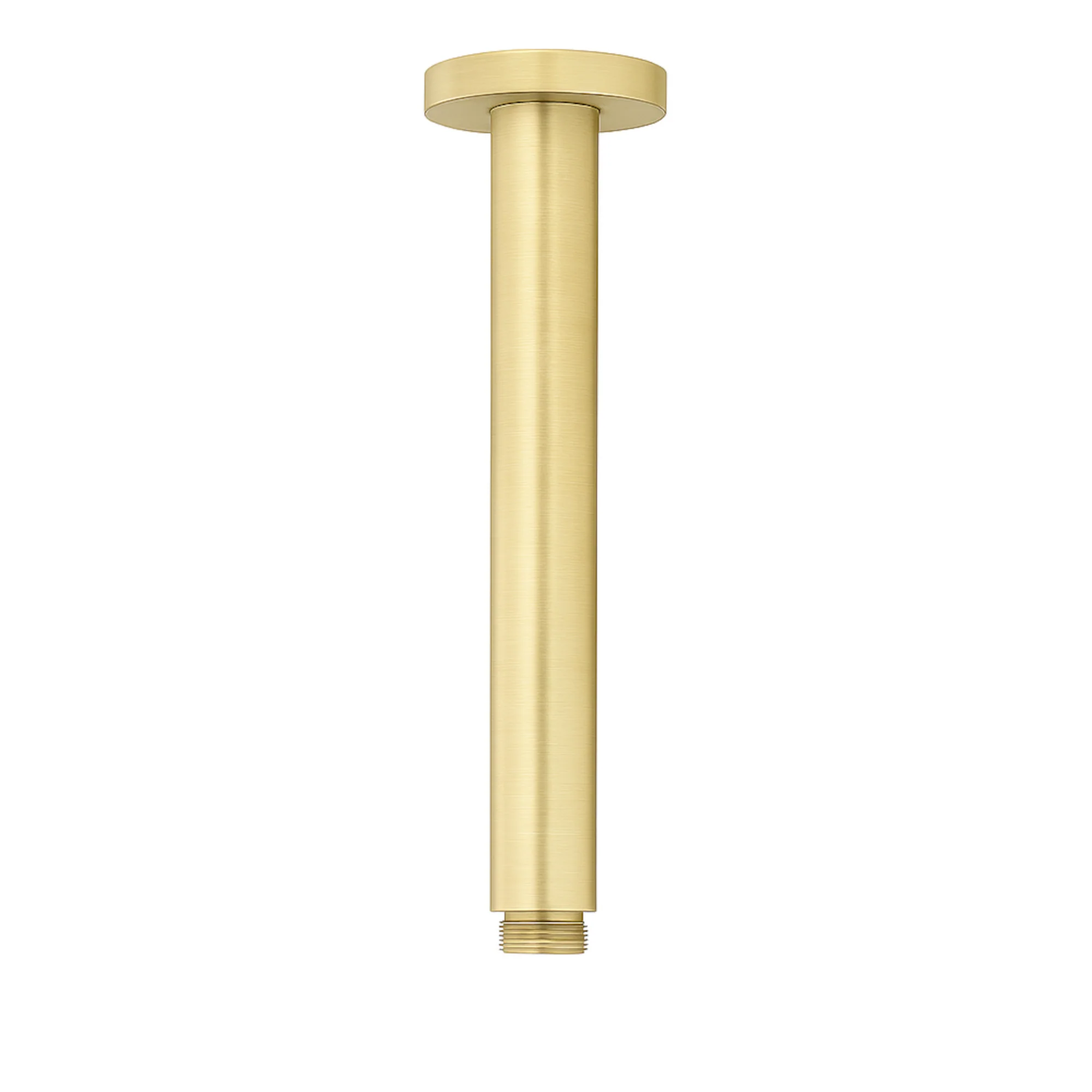Round ceiling mounted shower arm 180mm - brushed brass